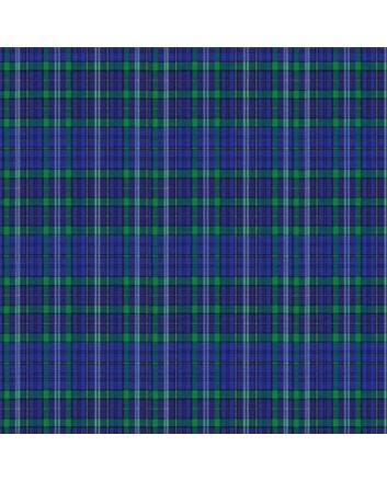 Davis of Wales Ancient Tartan kilt