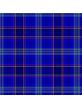 Dempster Tartan 